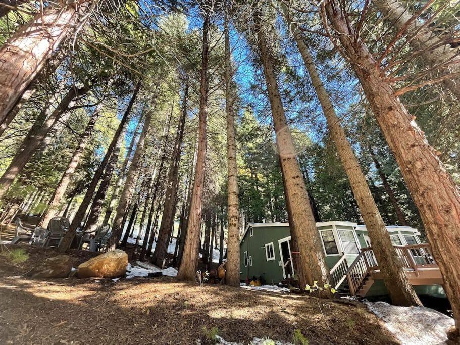 Cedar Oasis - Home Base To Big Trees Arnold Exterior photo