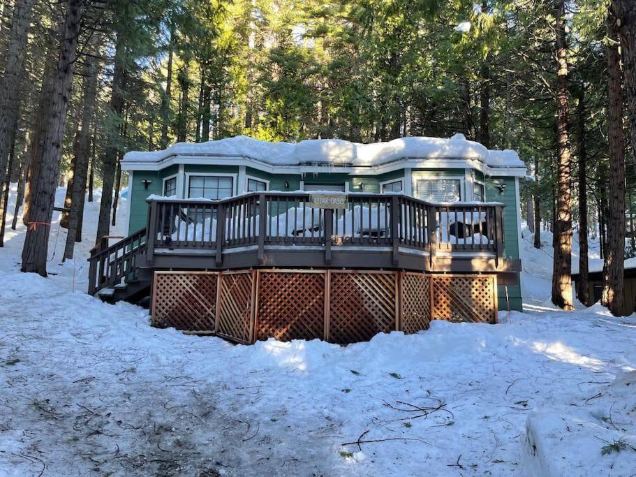 Cedar Oasis - Home Base To Big Trees Arnold Exterior photo